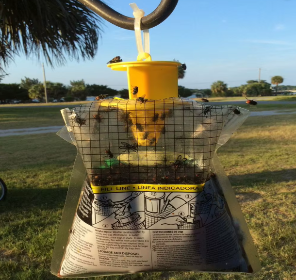 Hanging Fly Trap Bag with Bait – Disposable, Non-Toxic Insect Catcher for Outdoor Use