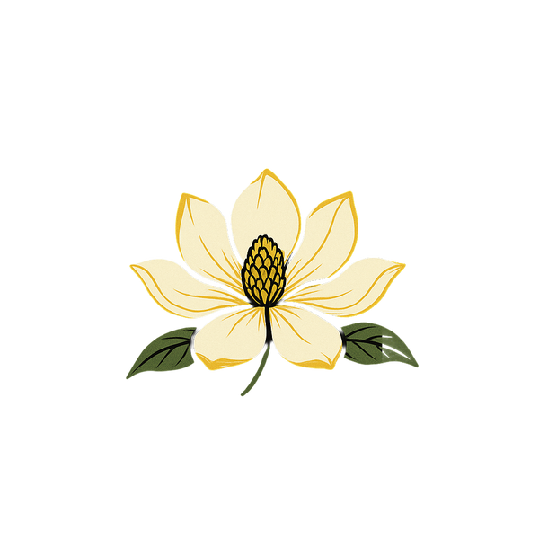 Southern Bayou Charm