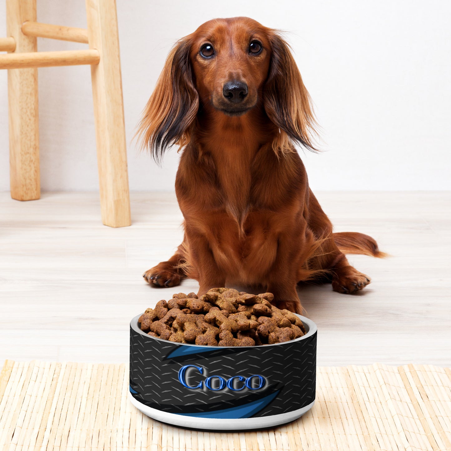 Coco Pet bowl